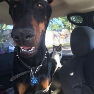 Meet your Posher, Nathan